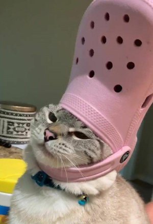 Kitty pink hat.jpg