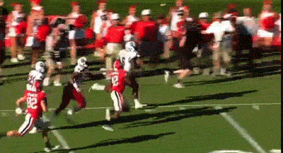 funny-sports-pictures-bulldogs-college-football-disbelief-smh.gif