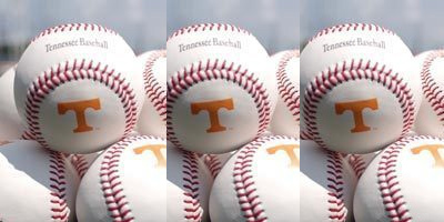 vols baseball