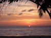 csa_sunset.gif