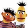 ernie and bert.jpg