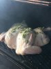 Turkey with Herbed Butter2.jpg