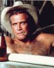 lee-majors-star-of-large-picture.jpg