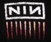 NIN.jpg