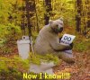 bear-*****ing-in-the-woods-bathroom-jokes-photographs.jpg