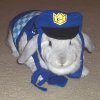 bunny_police.jpg