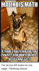 malinois-math-ifi-have-3-balls-and-youtakei-away-2-how-21617872.png