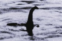 nessie.jpg