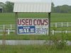 used-cows-for-sale.jpg