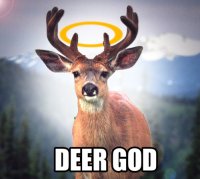 deergod.jpg