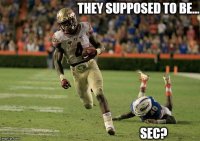 noles.jpg