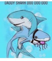 shark.jpg