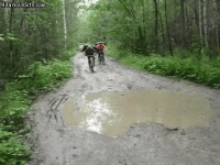 bikes.gif