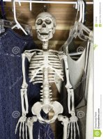 skeleton-closet-13755168.jpg