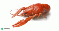 RepentantShadowyCrayfish-small.gif