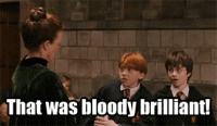 That-Was-Bloody-Brilliant-Ronald-Weasley-Gif.gif