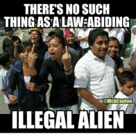 theres-no-such-thingasa-lawhabiding-rickcanton-illegal-alien-27941367.png