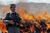 an-afghan-security-officer-stands-guard-as-flames-rise-during-a-drug-burning-event-on-the-outski.jpg