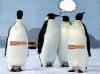 untitlepenguinsb.gif