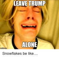 leave-trump-alone-snowflakes-be-like-35553008.png