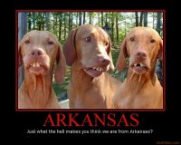 arkansas-dog-hillbilly-redneck-demotivational-poster-1242066863.jpg