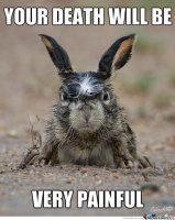 angry-rabbit-is-angry_o_1680971.jpg