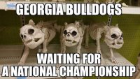 UGA-waiting-MEME.jpg