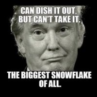 0b46e744180fe7aed86b573708a8010d--donald-trump-snowflakes.jpg