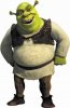 760_the_shrek.jpg