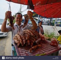 barbecued-rat-for-sale-ayutthaya-thailand-EJEDRD.jpg