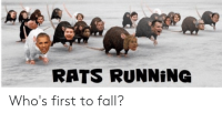 rats-running-whos-first-to-fall-46571907.png