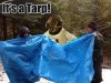 tarp-30198.jpg