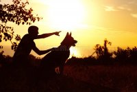 silhouette-young-man-walking-dog-field-sunset-boy-his-pet-enjoying-nature-profile-lookinf-male...jpg