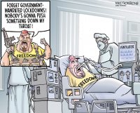 13e25644-d2c9-456e-a313-0b991c1ac3ae-Thompson_cartoon_0405_Protests_Web.jpg