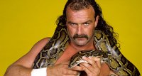 Jake the SNAKE Roberts.jpg