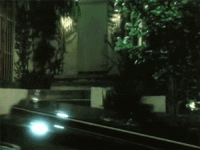 1590021611582.gif