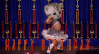 funny-girl-cat-dance-happy-birthday-gif.gif