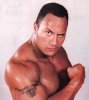 rock-bull-dwayne-the-rock-johnson-775398_1178_1319.jpg