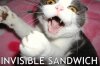 cat-invisiblesandwich1.jpg