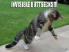 invisible_buttsecks1.jpg