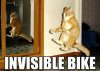 invisiblebike1.jpg