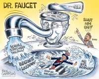 fauci_faucet.jpg