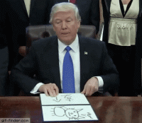 giphy (27).gif