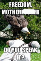 freedom-eagle-meme.png