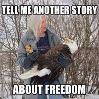 tell-me-another-story-about-freedom-funny-4th-of-july-memes.jpg