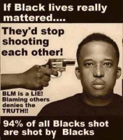 if-black-lives-mattered.jpg