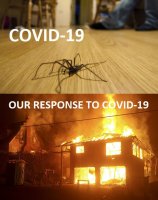 Our_Response_to_COVID-19.jpg