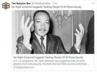 babylon-bee-far-right-extremists-suggest-all-races-treated-equally.jpg