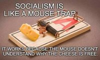 socialism-like-mouse-trap-works-because-mouse-doesnt-understand-why-cheese-is-free.jpg