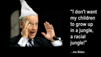 joe_racist.png